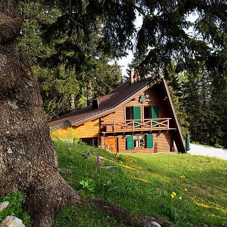 Chalet Alpinka Cerklje na Gorenjskem Eksteriør billede