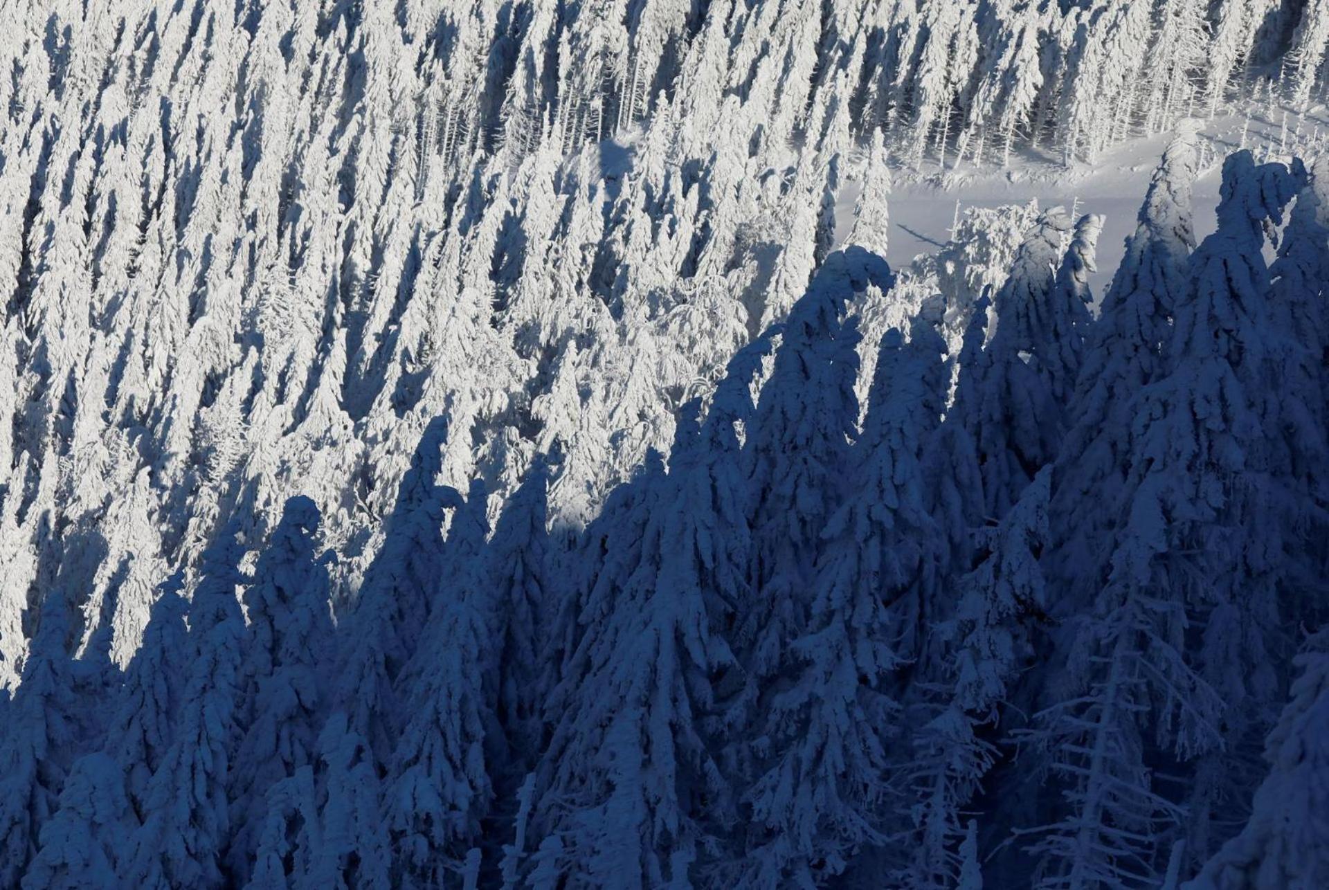 Chalet Alpinka Cerklje na Gorenjskem Eksteriør billede