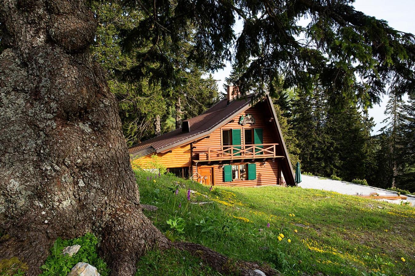 Chalet Alpinka Cerklje na Gorenjskem Eksteriør billede